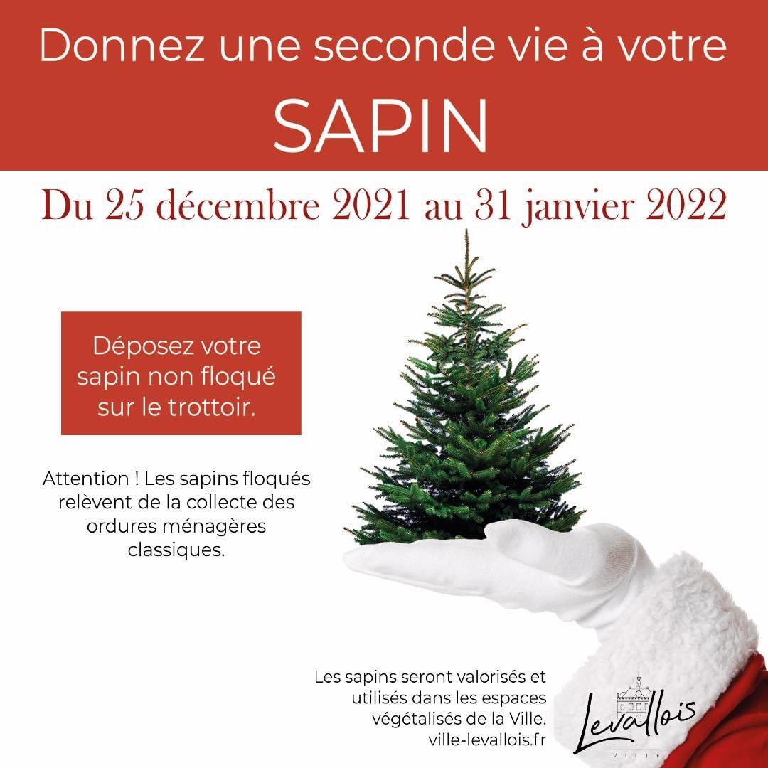 villelevallois's tweet photo. 🌲Donnez une seconde vie à votre sapin !

♻️ 🚛 La Direction des Espaces verts récupère vos sapins non floqués,
afin de les valoriser dans les espaces végétalisés de la ville. 
Déposez-les sur le trottoir jusqu’au 31 janvier ♻️

Plus d’infos https://t.co/4gmR9G38pm

#levallois https://t.co/1smKFqYbGR