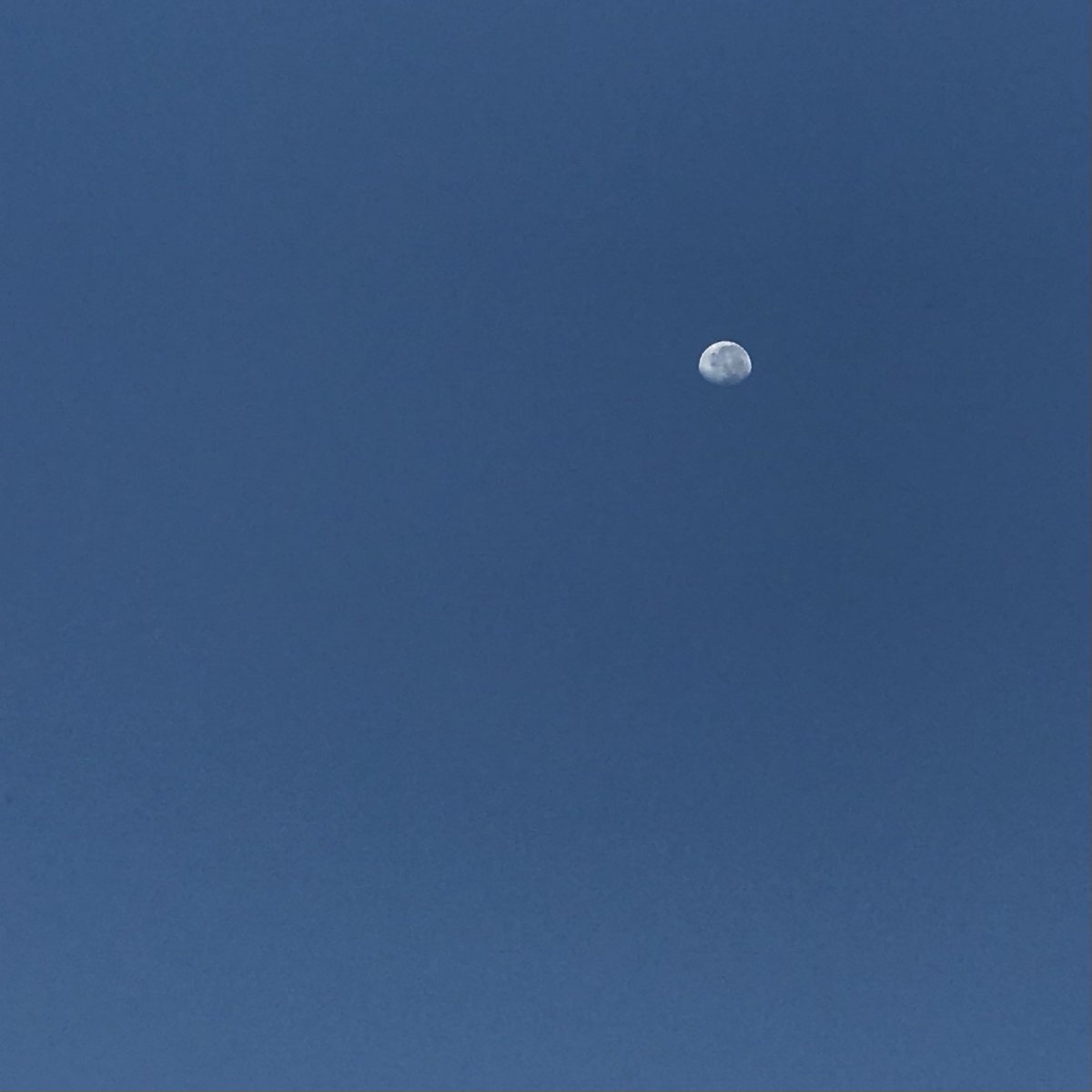blue—summer tweet media