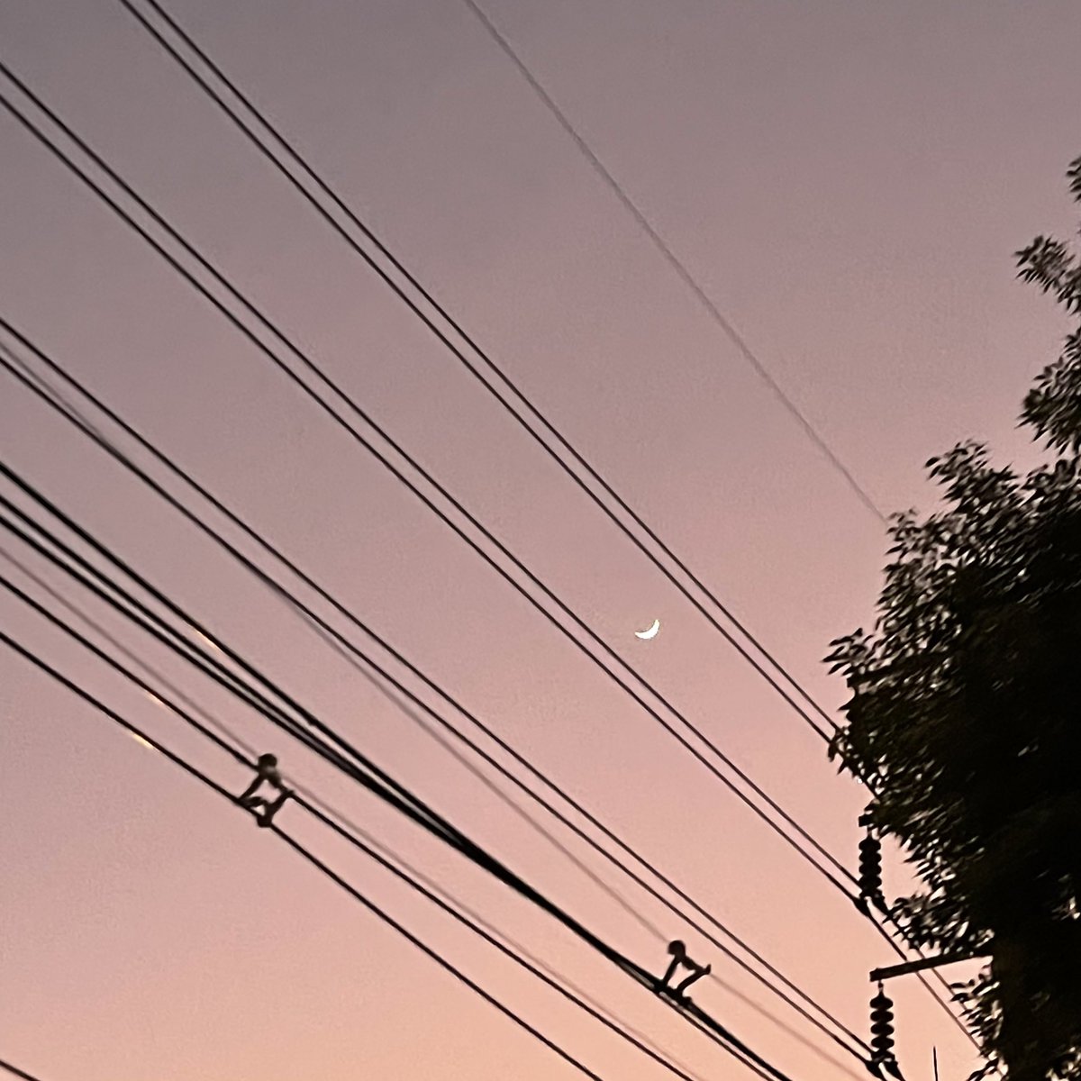 blue—summer tweet media
