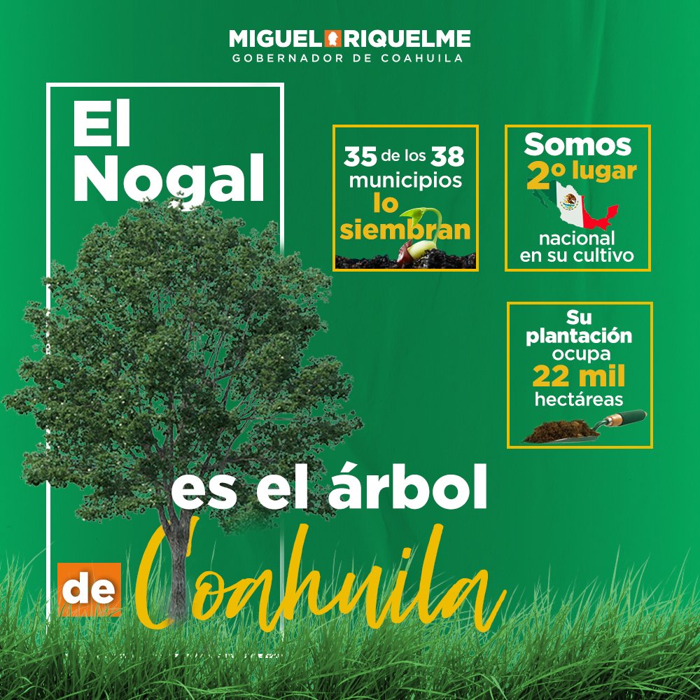 Miguel Riquelme tweet media