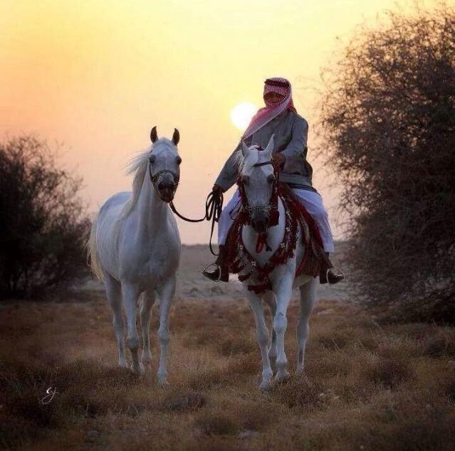 sult3n666's tweet photo. انا اشهد شهادة حق ما يجرح الرّجال
سوىٰ كلمةٍ تاتيه من واحدٍ ٠٠٠ غالي
٠
٠
زيد بن غيام٠٠ رحمه الله https://t.co/BoEavTU3K6