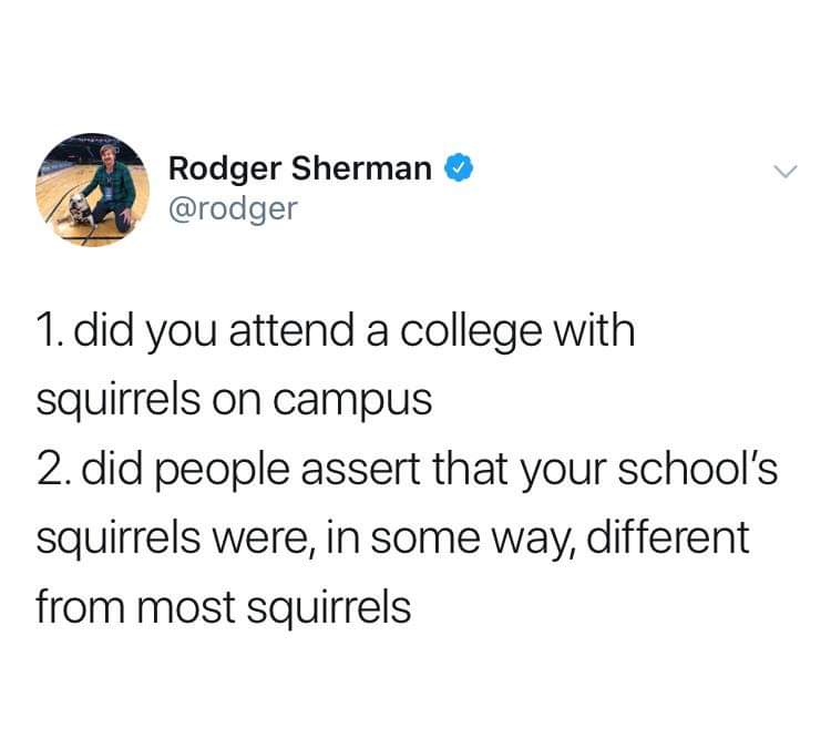 USF #GoBulls or Squirrels? 😂🤟🏼