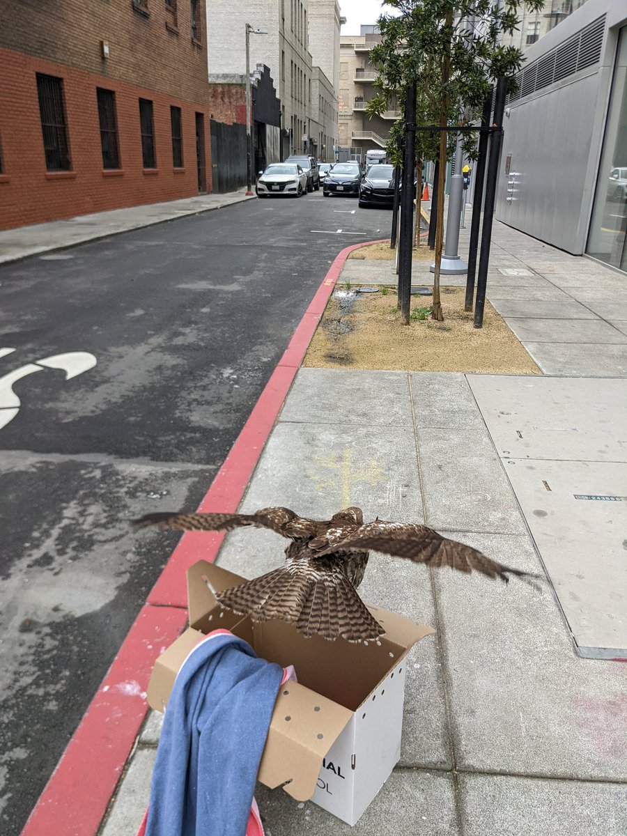 OfficerEdith's tweet image. May the new year bring you freedom from what holds you hostage.