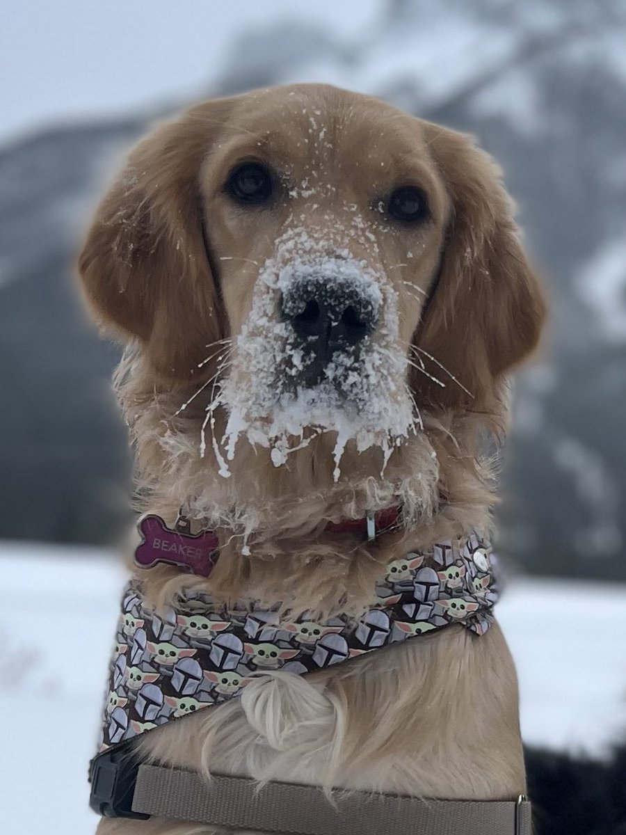 I AM FROSTY ALSO*