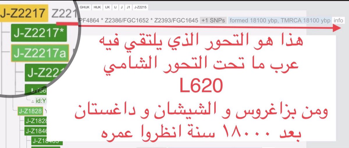 hanco911's tweet photo. @rashedalsafak63 @MKMA20202 @UaeAlameer @bloto123 @salman11122247 @0Khzsh @FahadShdid @Abdulhady333 @kwetaid @xxxasy2 @imqqn17 @fajnasar @faaq12 @AlenziTariq اين الذين ذكرتهم من  انتشار  السلالة جي١  الرئسي والضخم هنا👇لماذا لا نراهم في الانتشار  الحراري !!؟ اجعلتم فرع انقسم من تحت التحور 
FGC2115 من قبل ١٨٠٠٠ الف سنة واتجه شرقاً لداغستان وما وراءها شرقاً ممثلًا للسلالة جي١ وتناسيتم انهم انطلقوا من هنا👇ابحثوا في سلالتكم وعيشوا بسلام https://t.co/fan3p1msQY