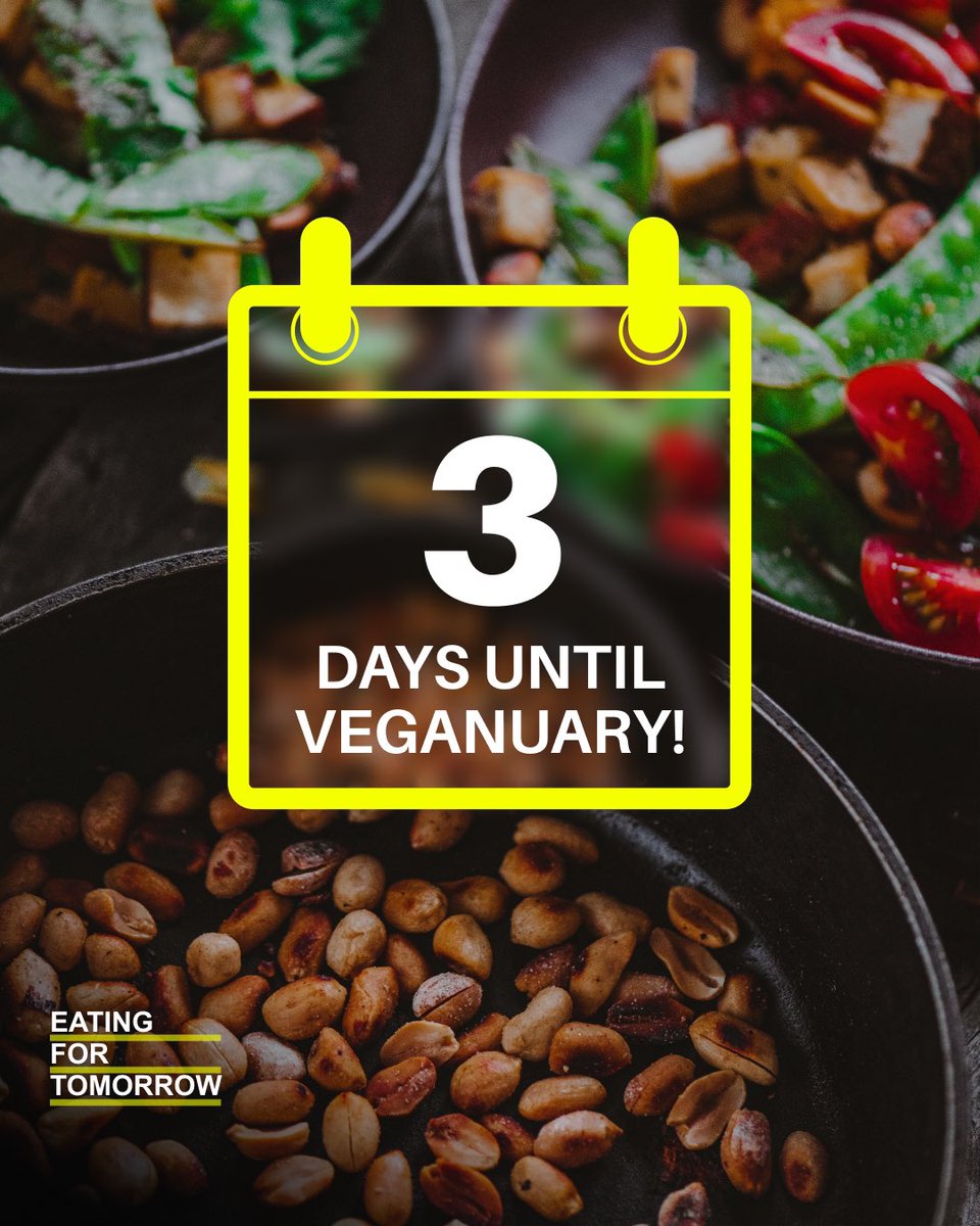 With #Veganuary2022 around the corner, we want to know what’s driving you to make a change for next year, is it the animals, your health, the climate?

Let us know below 👇

#Veganuary2022 #eowte #eating2extinction <a href="/veganuary/">Veganuary</a>