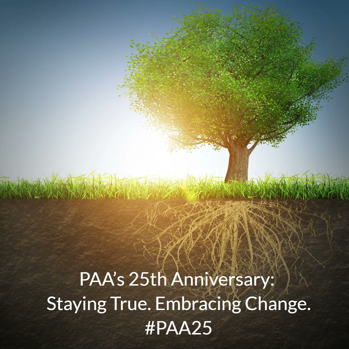 PAAlberta's tweet photo. A history highlight, as we wrap up our 25th anniversary year: Did you know...PAA established an office in In the 70s, housed at the University of Alberta, with two staff! PAAβs 25th anniversary: Staying true. Embracing change.
#PAA25 https://t.co/PZ2wqtgOPb