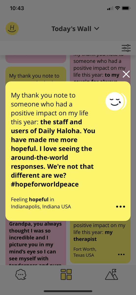 Daily Haloha tweet media