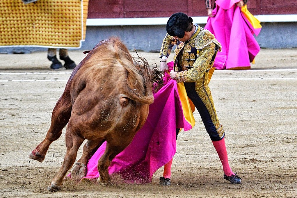 Ya en serio, fuera inocentadas, ¡<a href="/LasVentas/">Plaza de Las Ventas</a> POR FAVOR!
Tras alternativa en 2015 y su transparente caminar por derecho, <a href="/Tomasangulo8/">Tomas Angulo</a> merece con garantías su confirmación de alternativa.
#ANGULO_2022 #ArgumentosParaCreer #cuestióndeFE #FE #ElReyDeLosLocosSoyYo Fotos: <a href="/fjcampos1960/">Fco Javier Campos</a>