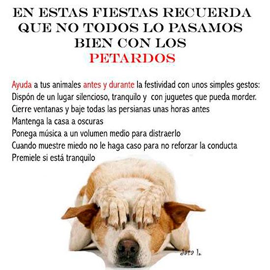 Ellos sufren de verdad https://t.co/yQpgo0iQ42