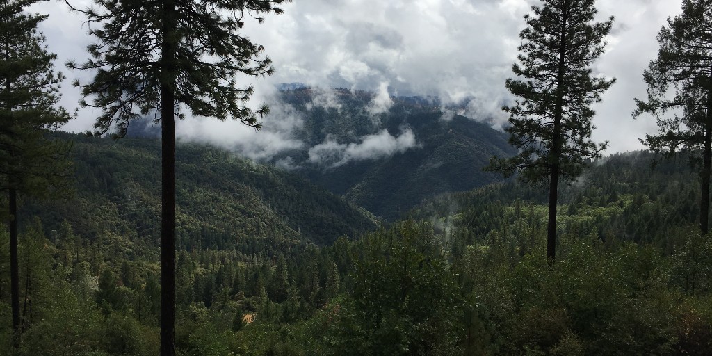 errolcatanes's tweet photo. Even more posted images about the time I collab'd with the @Tahoe_NF  c/o the @R5Usfs Public Affairs Office. #usfs #usforestservice #forests #forester #forestry #forestlife #forestwalk #ForestGreen #forestlove #forestwalks #forestspirit #californiaadventure #californiaforest https://t.co/kXfd3UBMwv