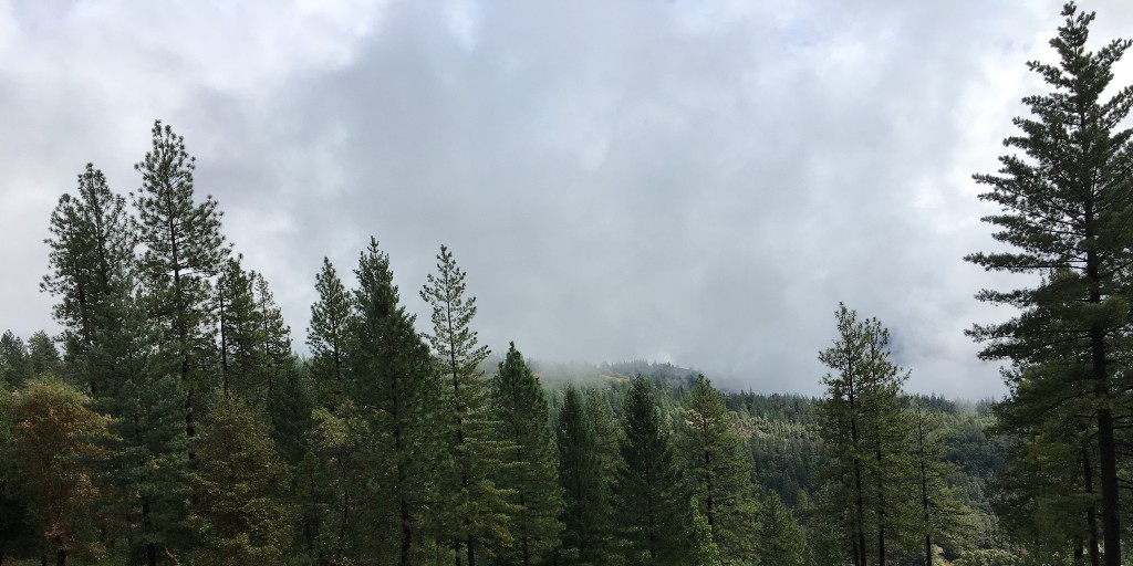 Even more posted images about the time I collab'd with the <a href="/Tahoe_NF/">USFS-Tahoe National Forest</a>  c/o the <a href="/R5Usfs/">usfs_r5</a> Public Affairs Office. #usfs #usforestservice #forests #forester #forestry #forestlife #forestwalk #ForestGreen #forestlove #forestwalks #forestspirit #californiaadventure #californiaforest