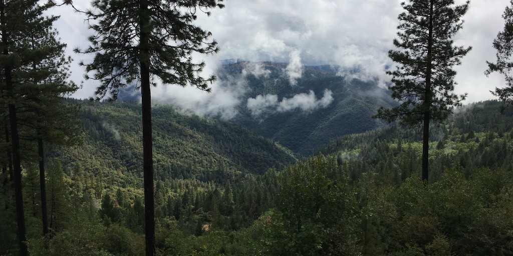 errolcatanes's tweet photo. Even more posted images about the time I collab'd with the @Tahoe_NF  c/o the @R5Usfs Public Affairs Office. #usfs #usforestservice #forests #forester #forestry #forestlife #forestwalk #ForestGreen #forestlove #forestwalks #forestspirit #californiaadventure #californiaforest https://t.co/kXfd3UBMwv
