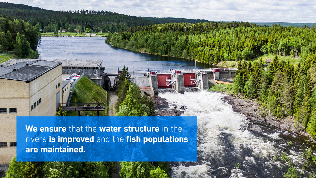 uniper_energy's tweet image. Through regular reservoir flushing, individual gravel relocations, and deadwood introductions, we ensure that the #WaterStructure in rivers is improved and fish populations are maintained. 🌊
