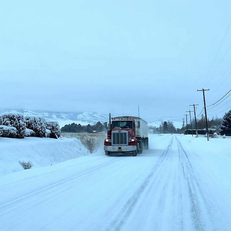 Winter's here in the PNW, but hasn't stopped the flow of grains from farms to regional artisans.

📸: <a href="/nathanrea/">Nathan Rea</a> <a href="/htreafarms/">HT Rea Farming</a>, hauling 2021 Walla Walla Palmer barley from on-farm storage to a local seed cleaning facility before malting.

#supplychain #artisangrains #craftmalt