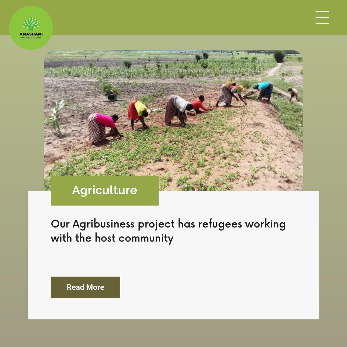 AmashamiI's tweet photo. Our Agribusiness project has refugees working with the host community. Check our website &amp; Learn more about us:  https://t.co/1phKXCC7vG

#amashami 
#agribusiness.
#community
#business
#entrepreneur https://t.co/jxnvDFDk7o