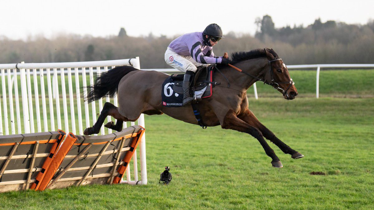 RacingSocialapp's tweet photo. Fantastic racing today across all the cards! 

Sharjah @WillieMullinsNH putting his name in the record books 👏 

Stage Star looking mightily impressive in the #ChallowHurdle and giving @ownersgroupuk owners a Grade 1 success! 

There’s more to come over the next few days! 🐎 https://t.co/D6lN5rISCL