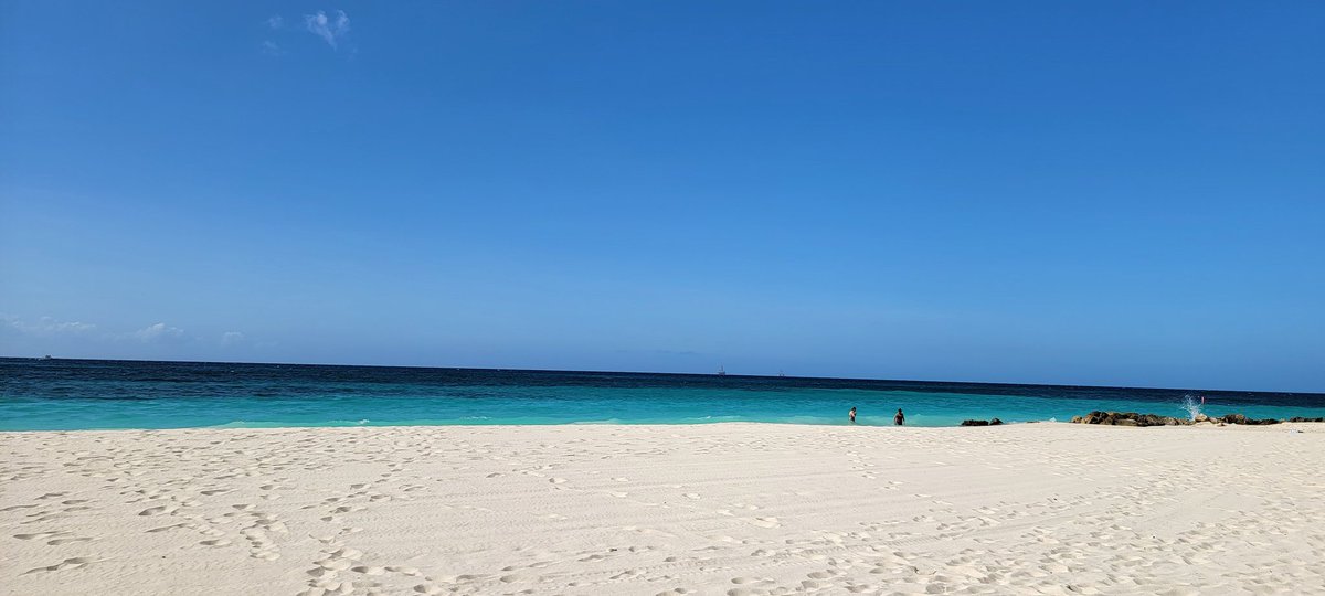 aruba_bound's tweet photo. Just another day in paradise at the @TamarijnAruba! #DiviLife #Aruba #OneHappyIsland #DiscoverAruba https://t.co/Ozu9Z5VP34