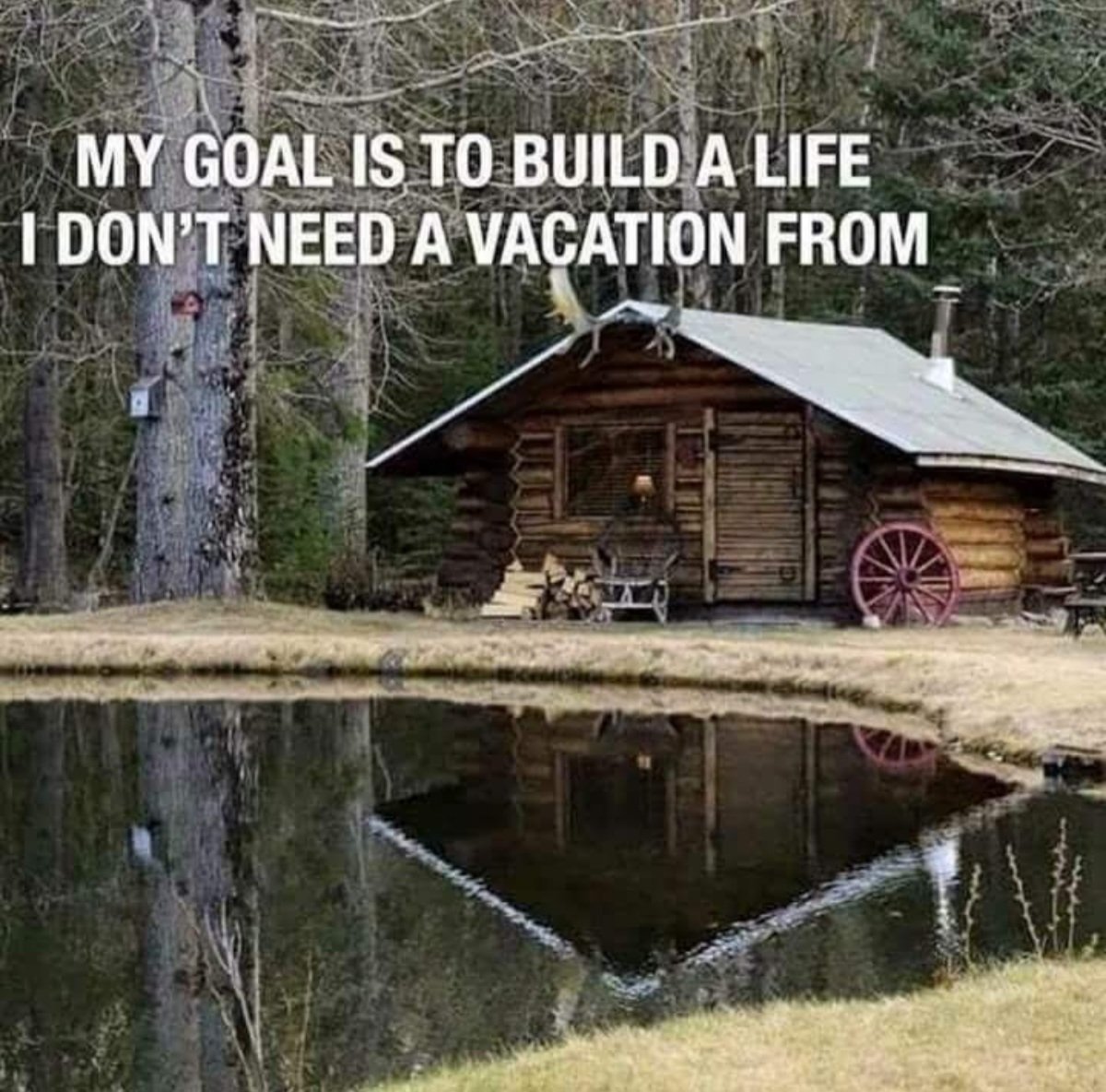 BSnache's tweet image. 