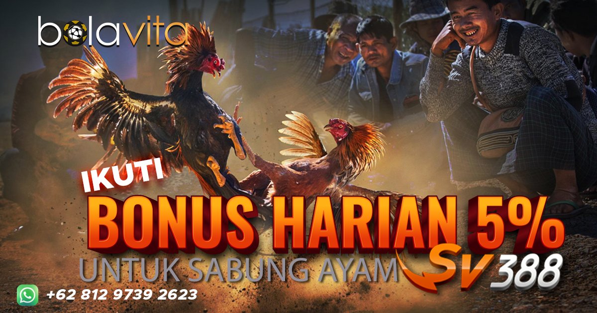BVGAMING_NET's tweet photo. Dapatkan Bonus 5% Deposit Harian Sabung Ayam!
Jadilah Pemenang dan Dapatkan Keuntungannya!
Wa:081297392623
#sabungayamindonesia #ayamjago #ayamlaga #ayambangkokindonesia #baccarat #ayamaduanberkelas #wala #meron #bdd #ftd https://t.co/llzvM0s97v