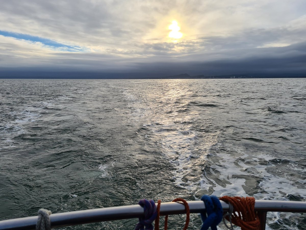 petecles's tweet photo. Up to see the visiting humpback whale in the Forth yesterday morning. Welcome to Edinburgh, friend! @VisitScotland https://t.co/S4anM7OHAw