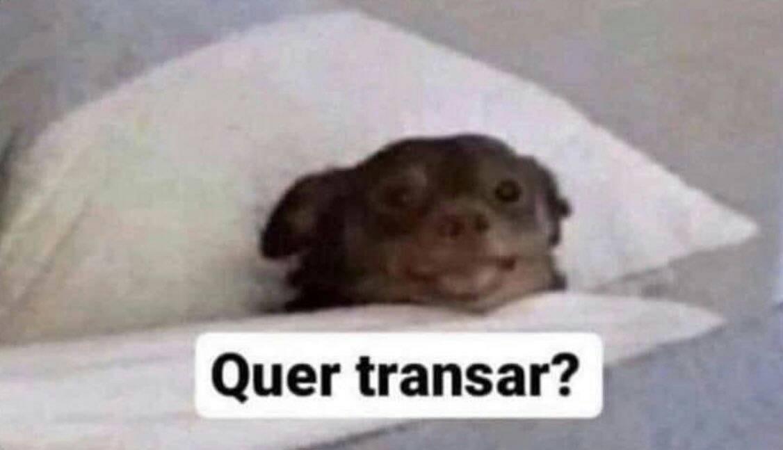 “O álcool deixa as pessoas agressivas”

Eu quando bebo: