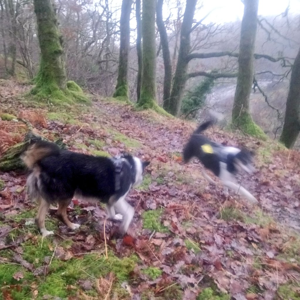 Nell & Jess tweet media