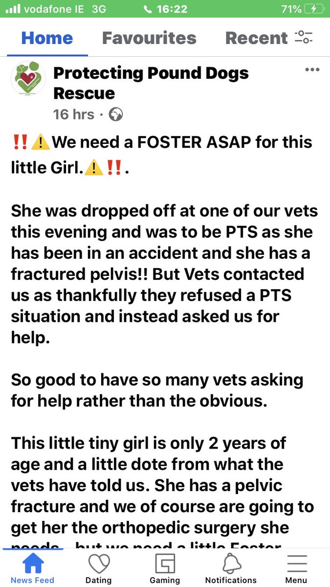 catlowry54's tweet photo. This rescue is looking for a #fosterer urgently. https://t.co/u2D503F6nh