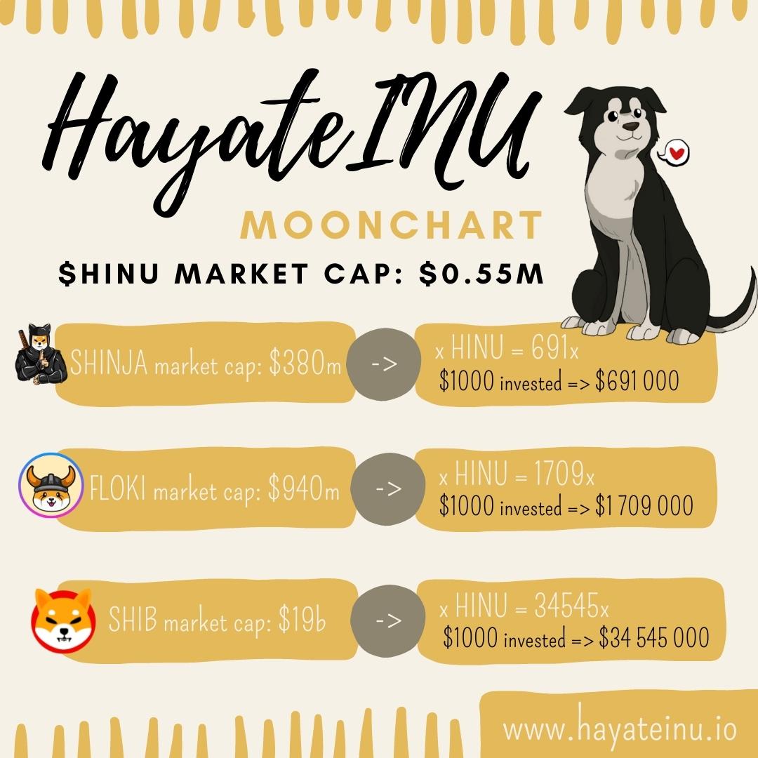 WHAT IF? The Hayate family has a long run ahead. Make sure you get on board! #HINU $SHINJA $FLOKI #CLIFF #KIBA #SHIB #MONG #TIGGER #GZLR #ELON