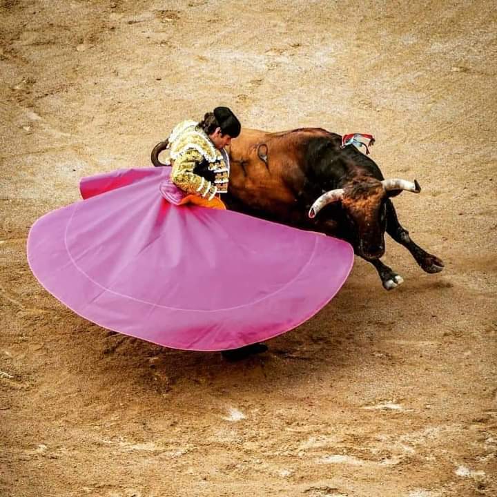Tenía rato que no me emocionaba e impresionaba tanto con una fotografía