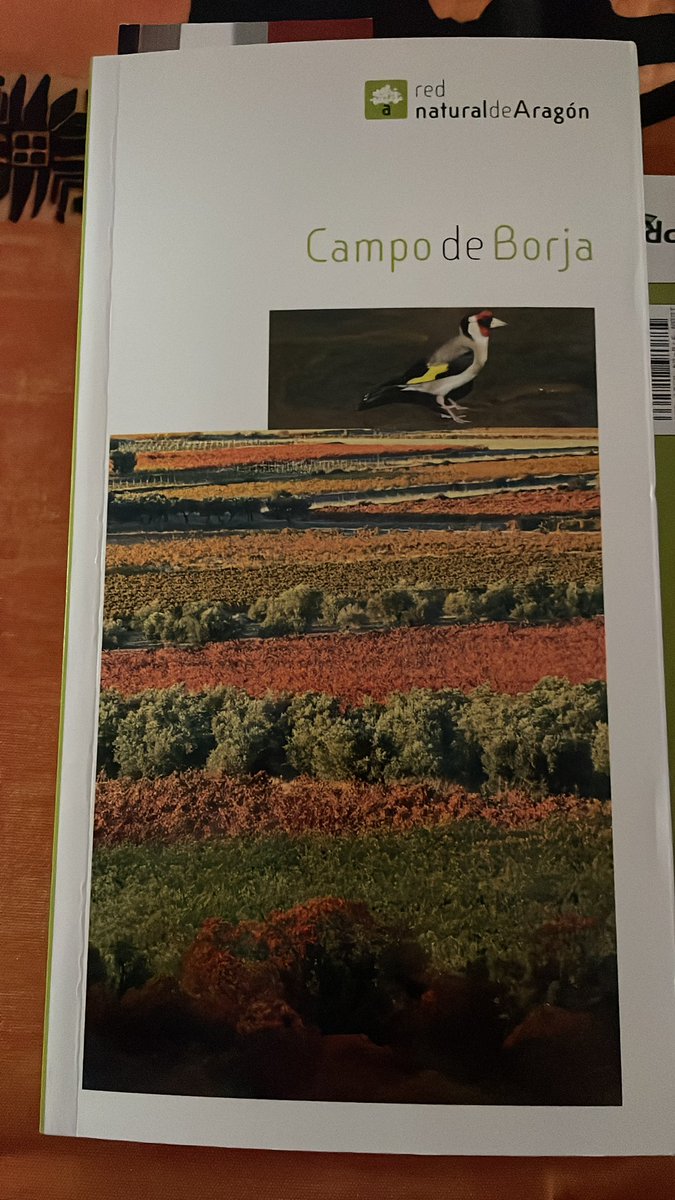 machingol's tweet photo. He participado en la iniciativa de @Librosimportan @Atrapavientos. Dejé "El gato que curaba corazones" de Rachel Wells, y recibí "Campo de Borja" sin autor, de regalo de la CAI.
No está mal para acabar el año de broma, y sin dedicatoria #librosqueimportan #Zaragoza https://t.co/5R6oaO2b9a