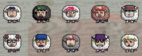 FFWGChad's tweet photo. 10 Days of Giveaways! We will be giving away all of these sheep. Every giveaway winner will be able to pick a sheep from what’s left. The last remaining sheep will be given away to someone that reply’s to this tweet with who they think will be last! Also RT and Like @FFWolfGame https://t.co/5ebHFRHVt1