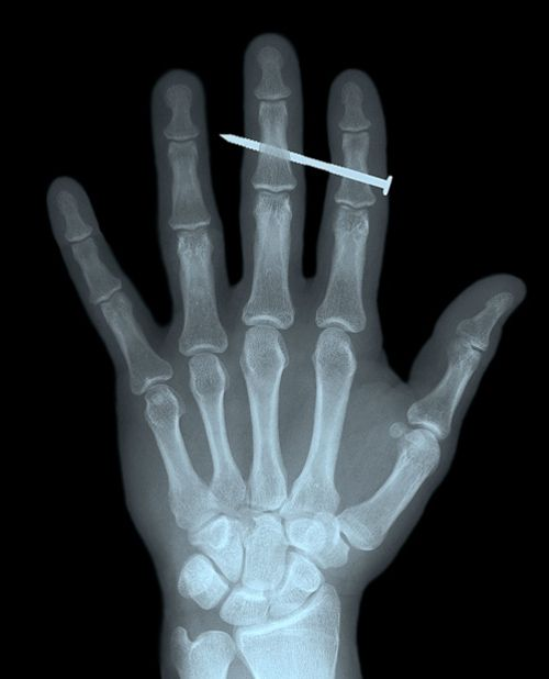 David Fisman tweet media