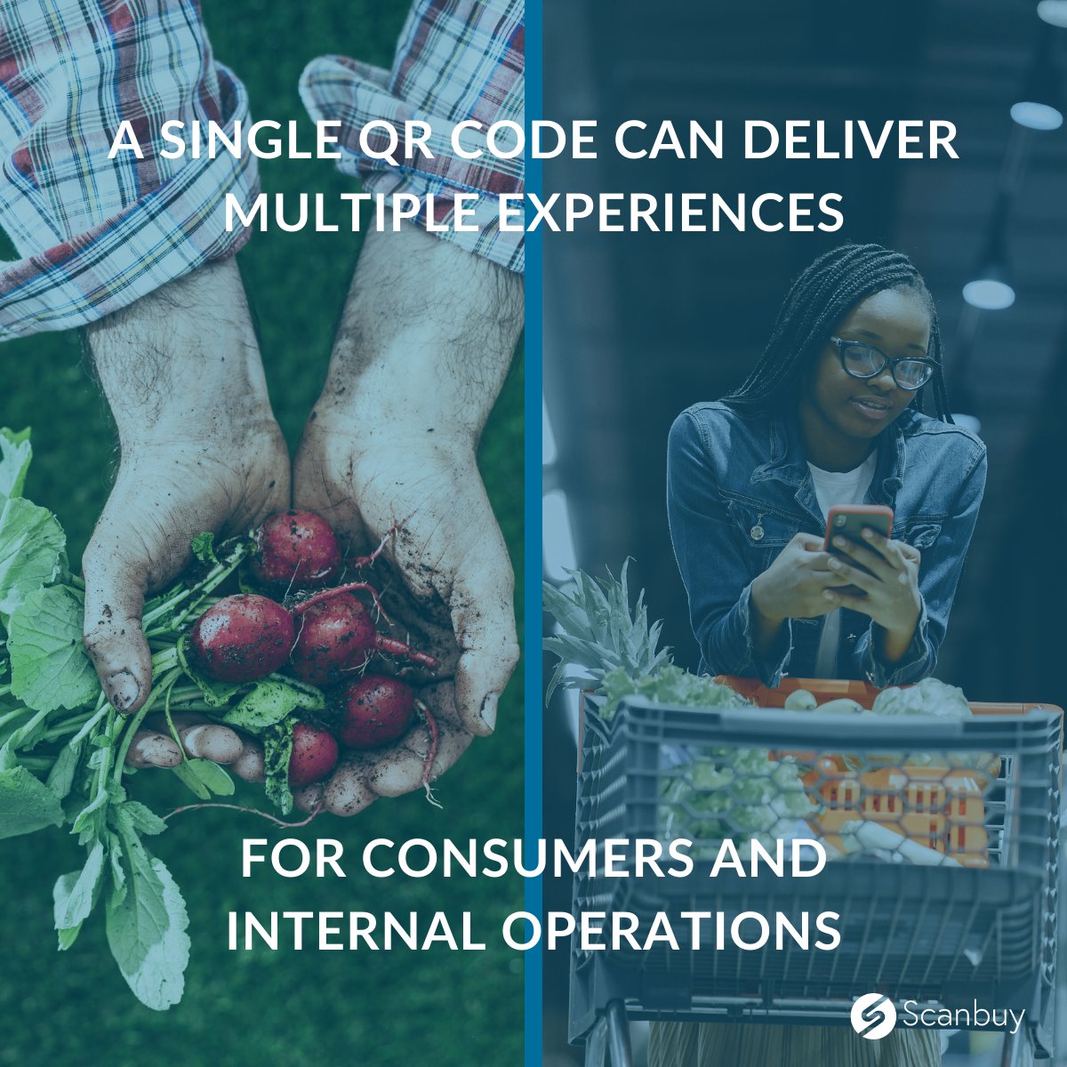 Scanbuy's tweet photo. A multi-purpose QR Code allows you to deliver a variety of experiences to consumers and internal operations at once.

-   Supply chain traceability
-   Internal product identification 
-   Authentication for consumers 
-   Regulatory mandates 

Learn more: https://t.co/VC5VBIHWRn https://t.co/o4YrPTJMwM