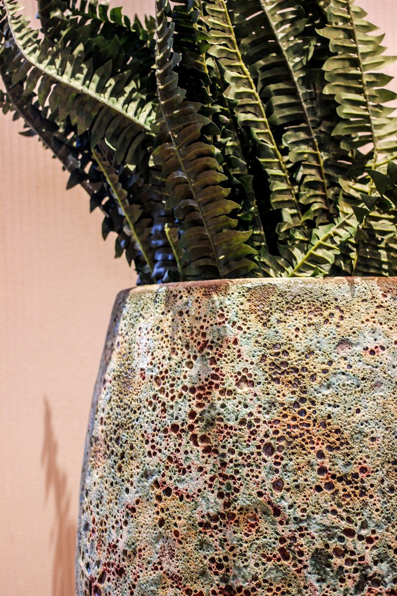 Explore the flavors of the sea, inspired by <a href="/chefjoseandres/">Chef José Andrés 🕊️🥘🍳</a>’ home in #Spain, in our inviting space below #BazaarMeat Chicago. Book now: fal.cn/3kYWE