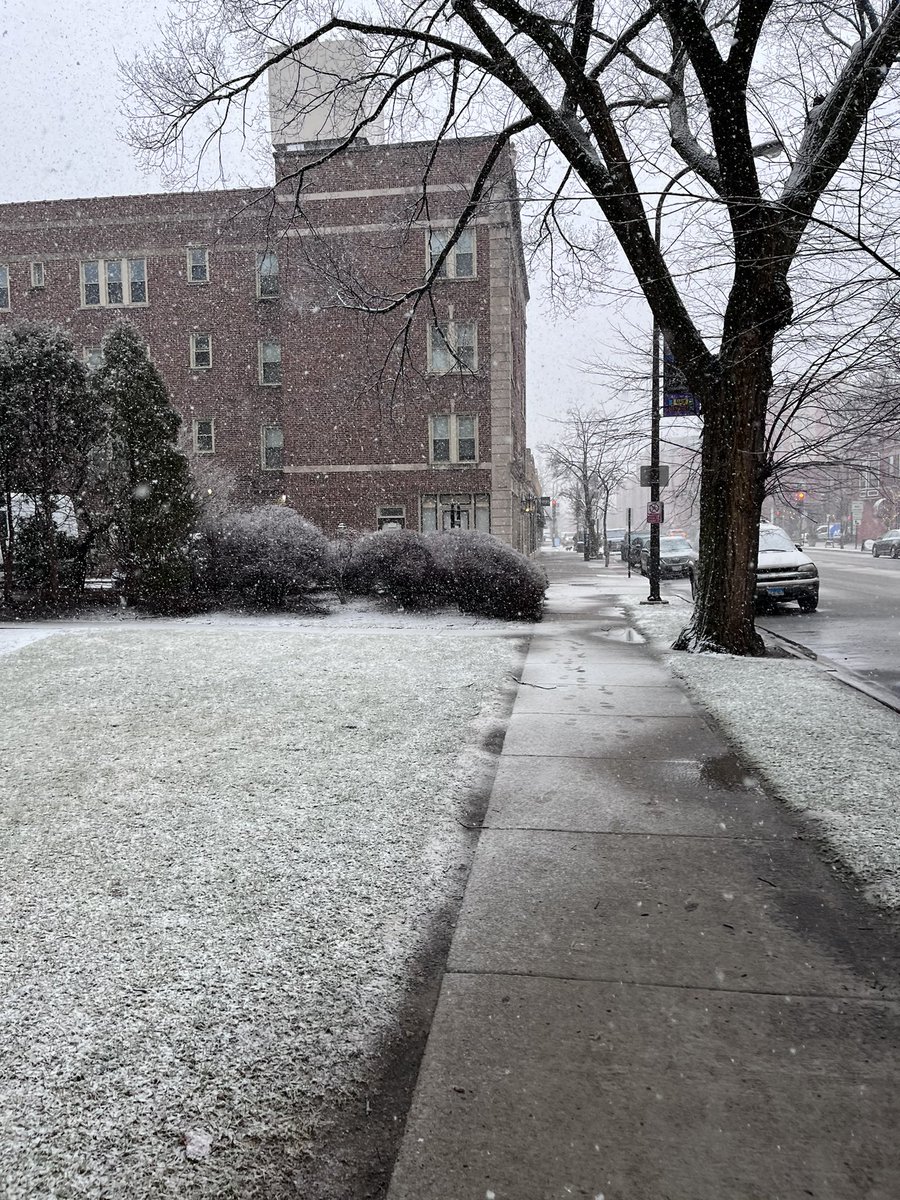 ChinnarajaEswar's tweet photo. #snowfall2021 https://t.co/oQo1WHWbyu