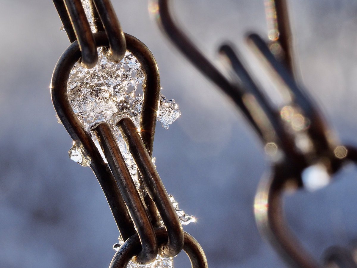 Dave Butler tweet media