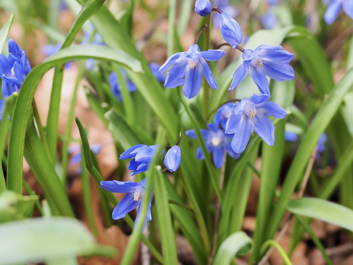 Dave Butler tweet media