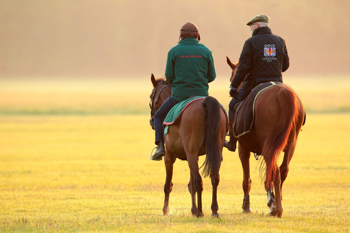 Paris_Turf's tweet photo. #Galop 🤏 C'est passé tout prêt pour 𝘿𝙖𝙧𝙚𝙣𝙣𝙙𝙞 !
Alain de Royer Dupré conclut sa carrière d'entraîneur avec une 2ème place à Pornichet-La Baule.
De l'ensemble des équipes de ParisTurf, #MerciAlain pour toutes ces années de courses, d'émotions et de grands champions 🏇 https://t.co/mvqVJKENLo