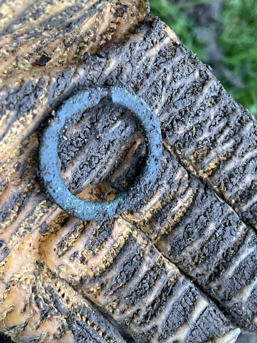 11Thames11's tweet photo. Just home and this was my last find of the day. A possible Roman / Saxon/ early Mediaeval anular brooch? Help anyone please? Thank you #anularbrooch #metaldetecting #deusxp https://t.co/e0lQRCOHVn