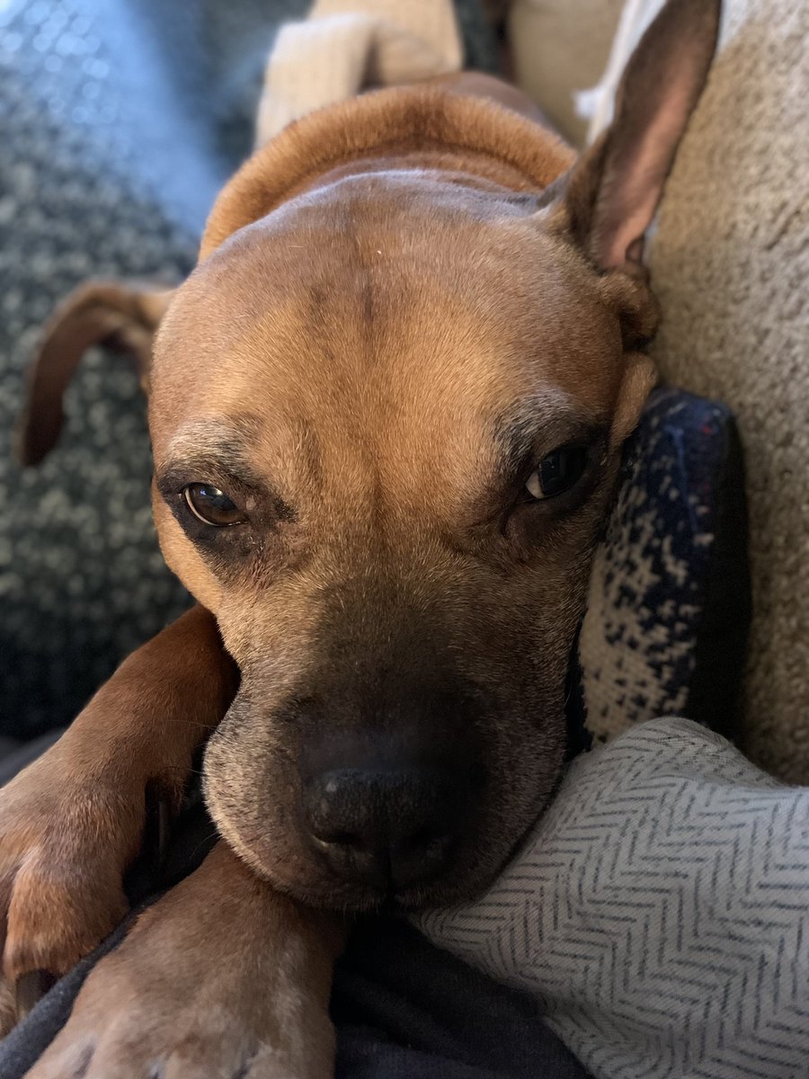 Stephanie O'Connell tweet media