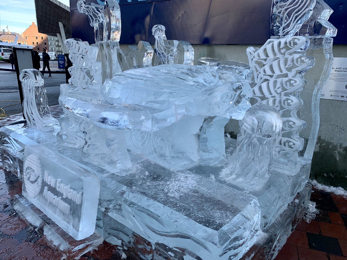 PR__Pam's tweet photo. Our life-sized ice sculpture of a leatherback sea turtle devouring a jellyfish has arrived to Central Wharf Plaza! Thanks to #BrilliantIceSculpture for another stunning piece. @NEAQ visitors and staff are loving it. https://t.co/aBD7VeZye1
