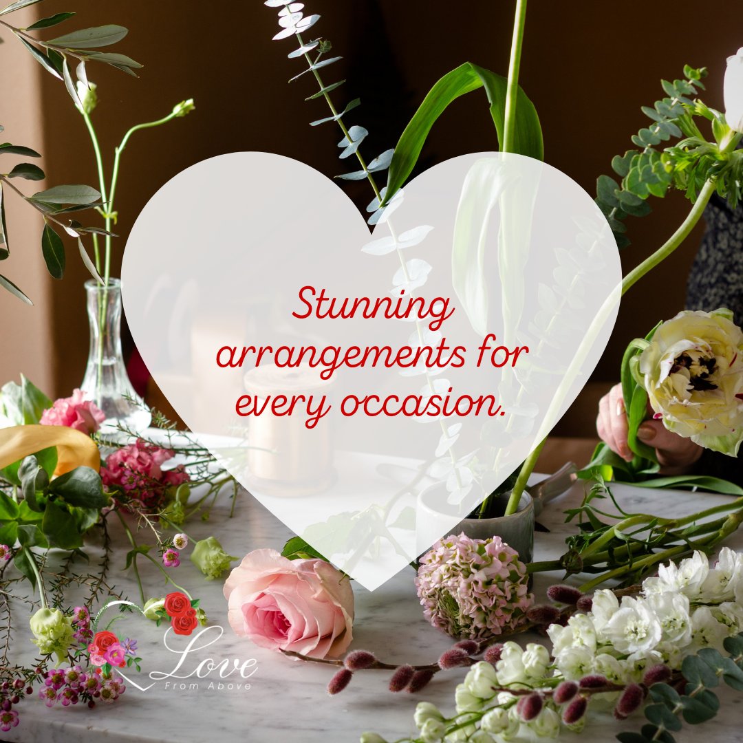LoveFromAbove22's tweet photo. We have something for everyone, from romantic red roses for anniversaries to favorite blooms for a birthday. Learn more at https://t.co/9R1T0A6l1k

#lovefromabove #delayedarrangements #funeralprep #funeralflowers #legacybuilding #griefsupport #griefjourney https://t.co/DQPUrSZGT5