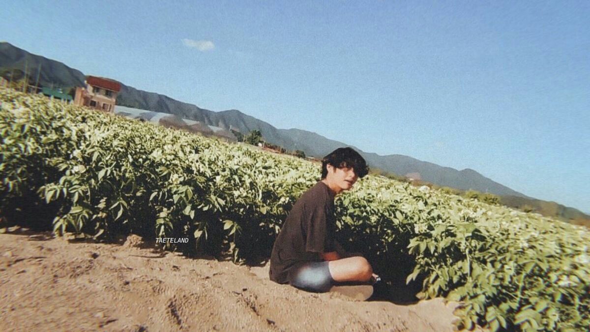user1872503's tweet photo. happy birthday, kim taehyung. 🎂❤ https://t.co/1XvCGUqe6J