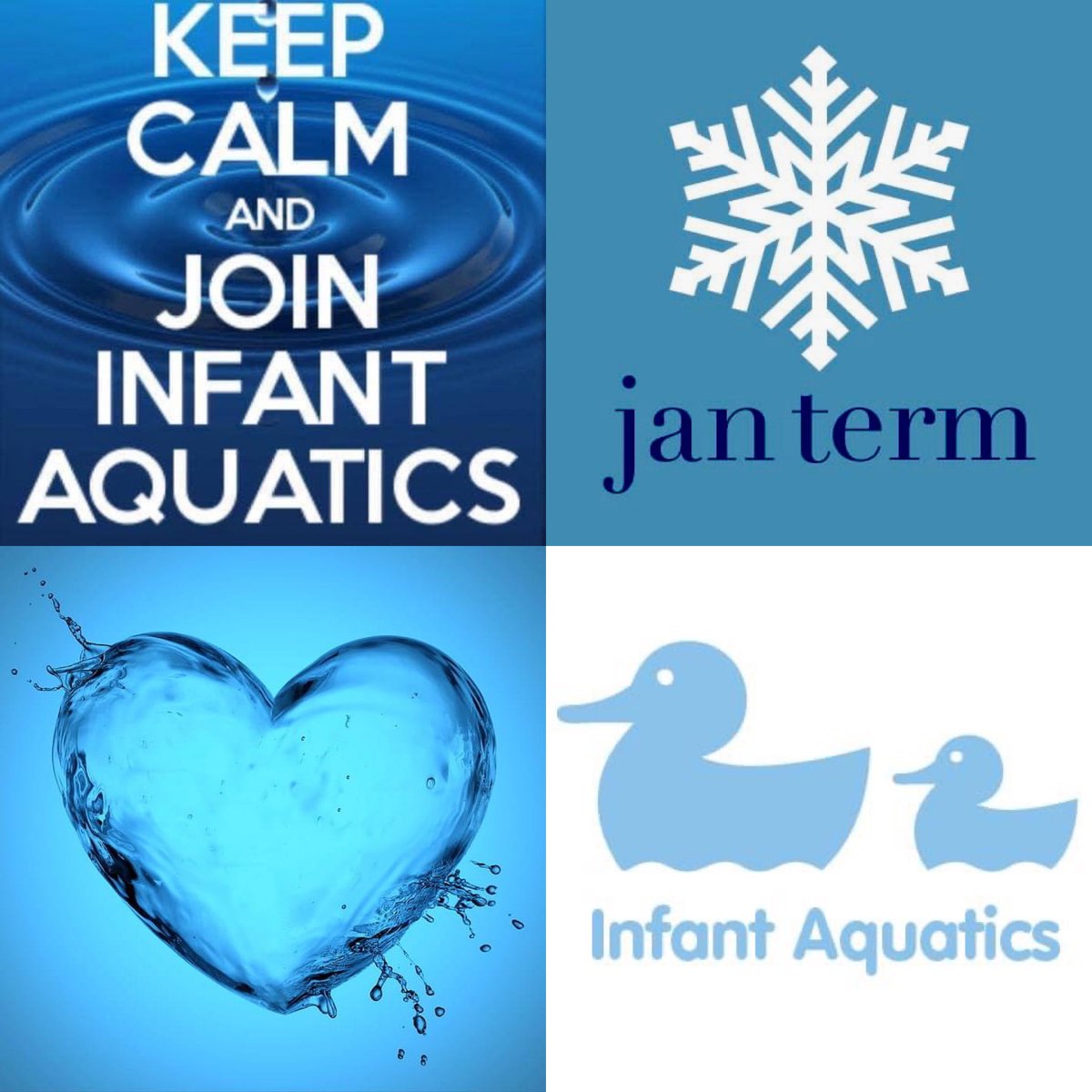 Infant_Aquatics's tweet photo. https://t.co/70ZEAg9hG7
