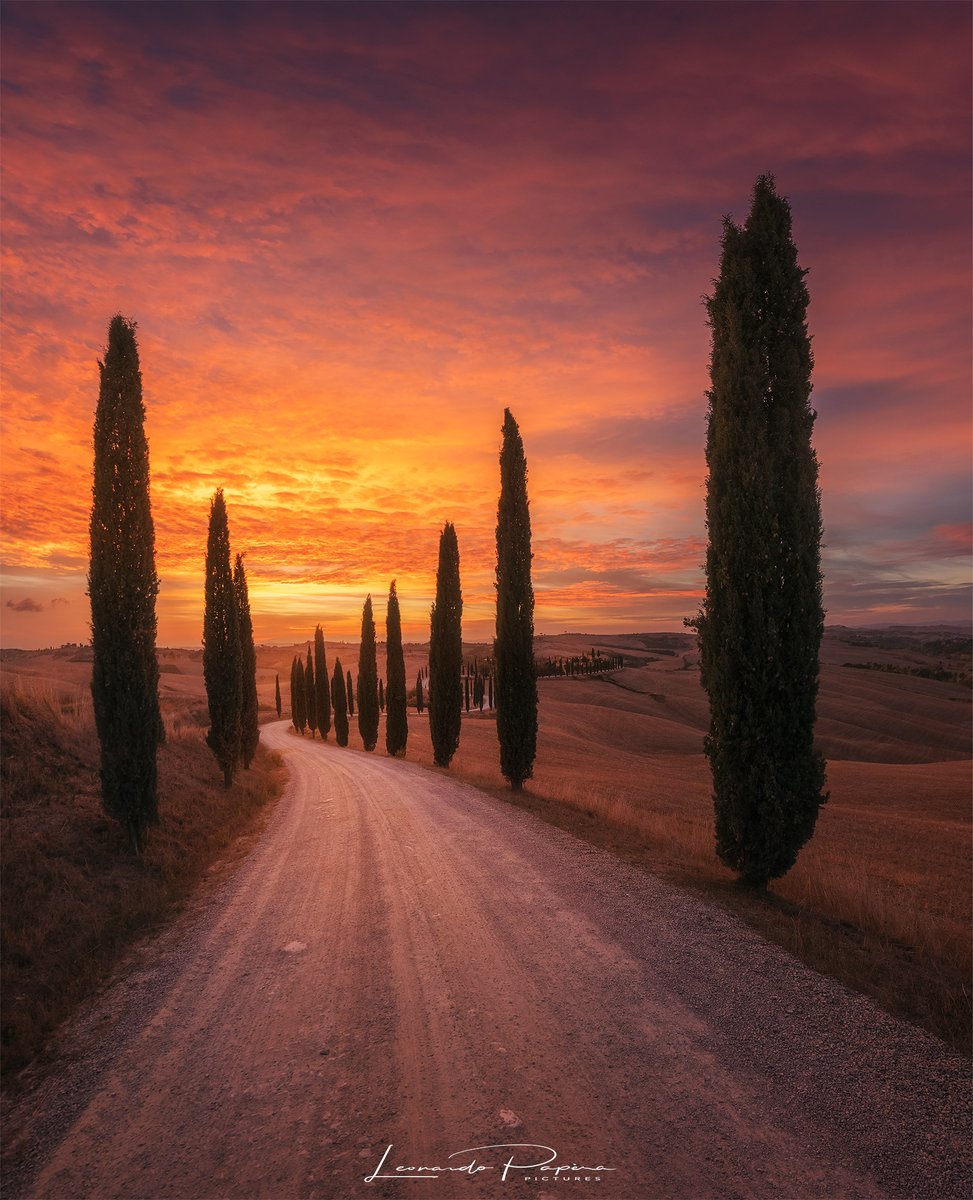 Probably the best sunset of the last autumn season; no need to say that clients were over the moon. 
A truly incredible light show! 

#landscapephotography #autumn #tuscany #NFTCommunity #NFTs #nftcollector #nftart