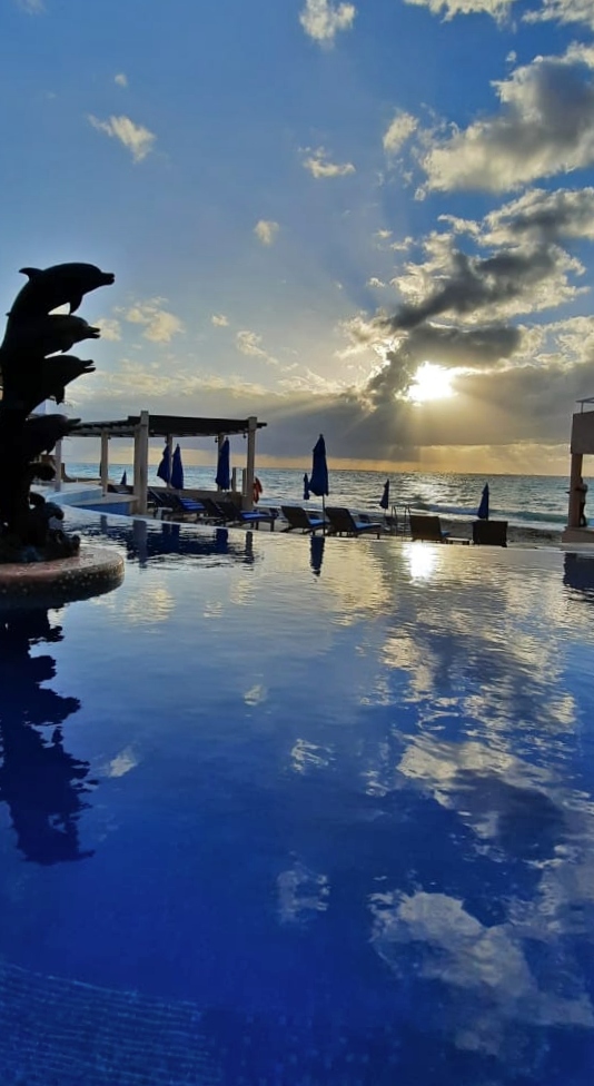 SunsetFishermen's tweet image. Wonderful moments!
#SunsetWorldIsBack