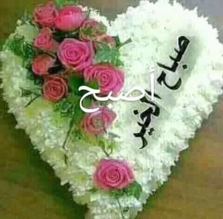 AlhrazyMws's tweet photo. @yklmny https://t.co/MxMYTXDv3L