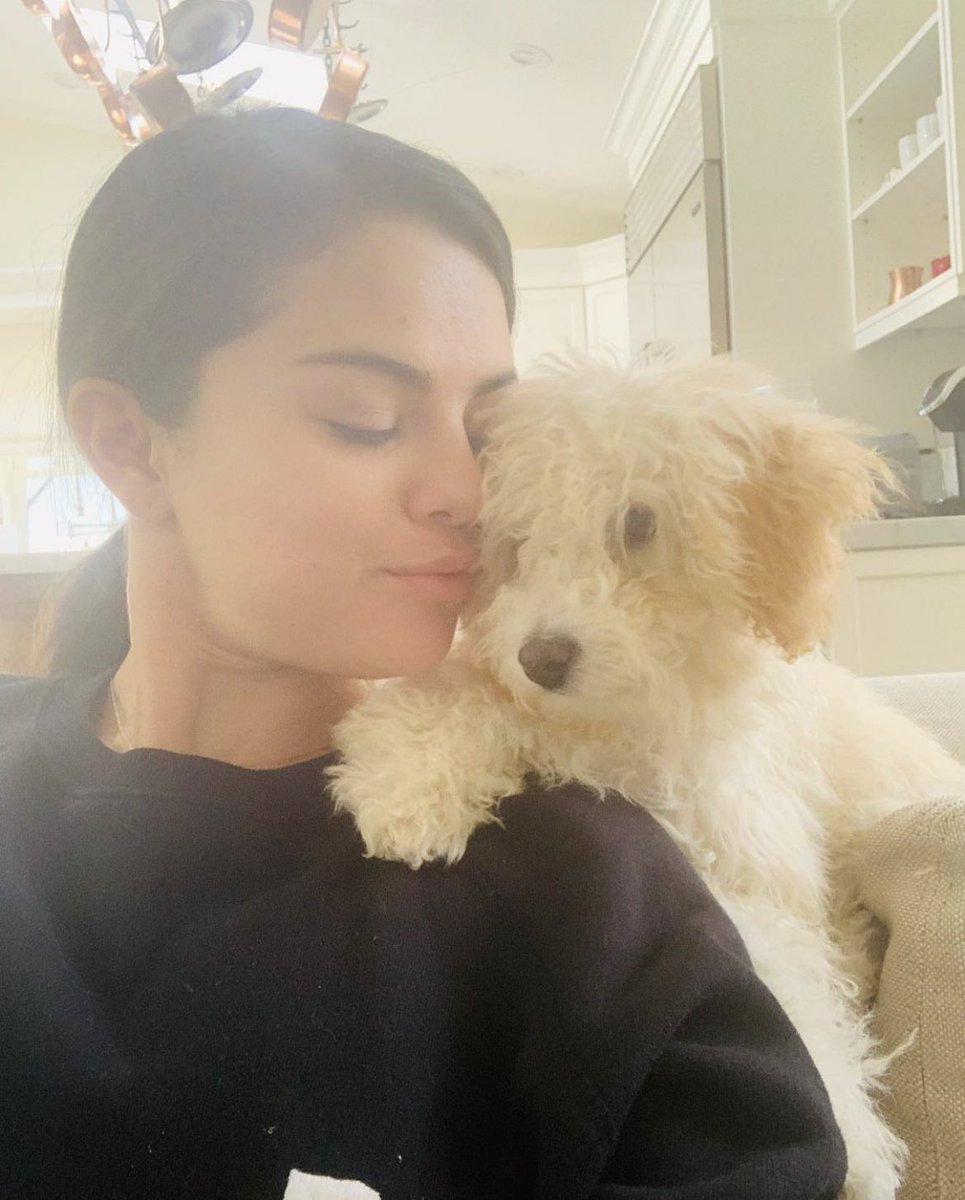 decodeselena's tweet photo. MY LOVES https://t.co/3XXJ9WWBKO