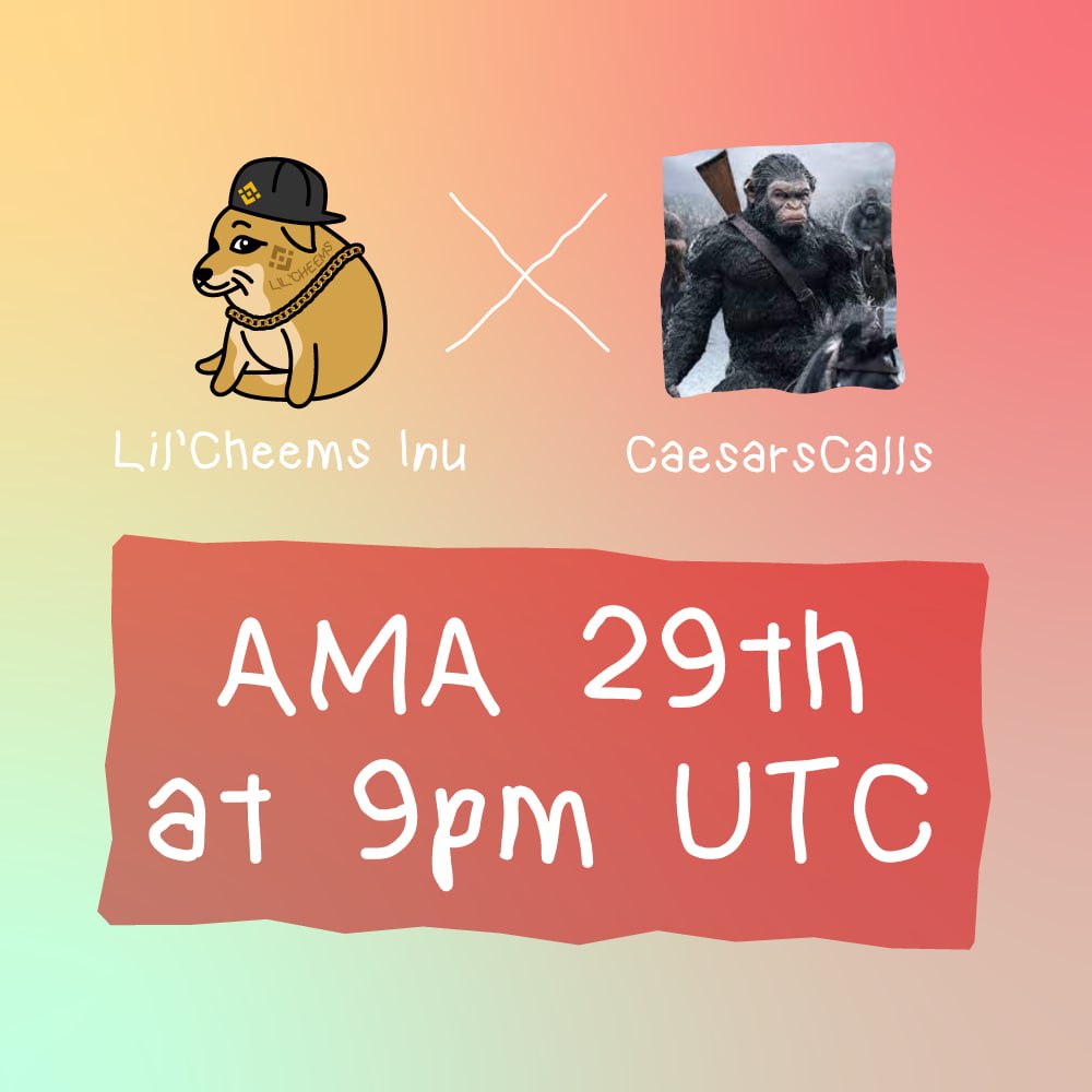 Lil'Cheems Inu tweet media